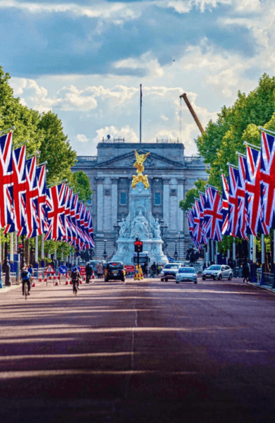 Changing the Guard Ceremony at Buckingham Palace — portrait