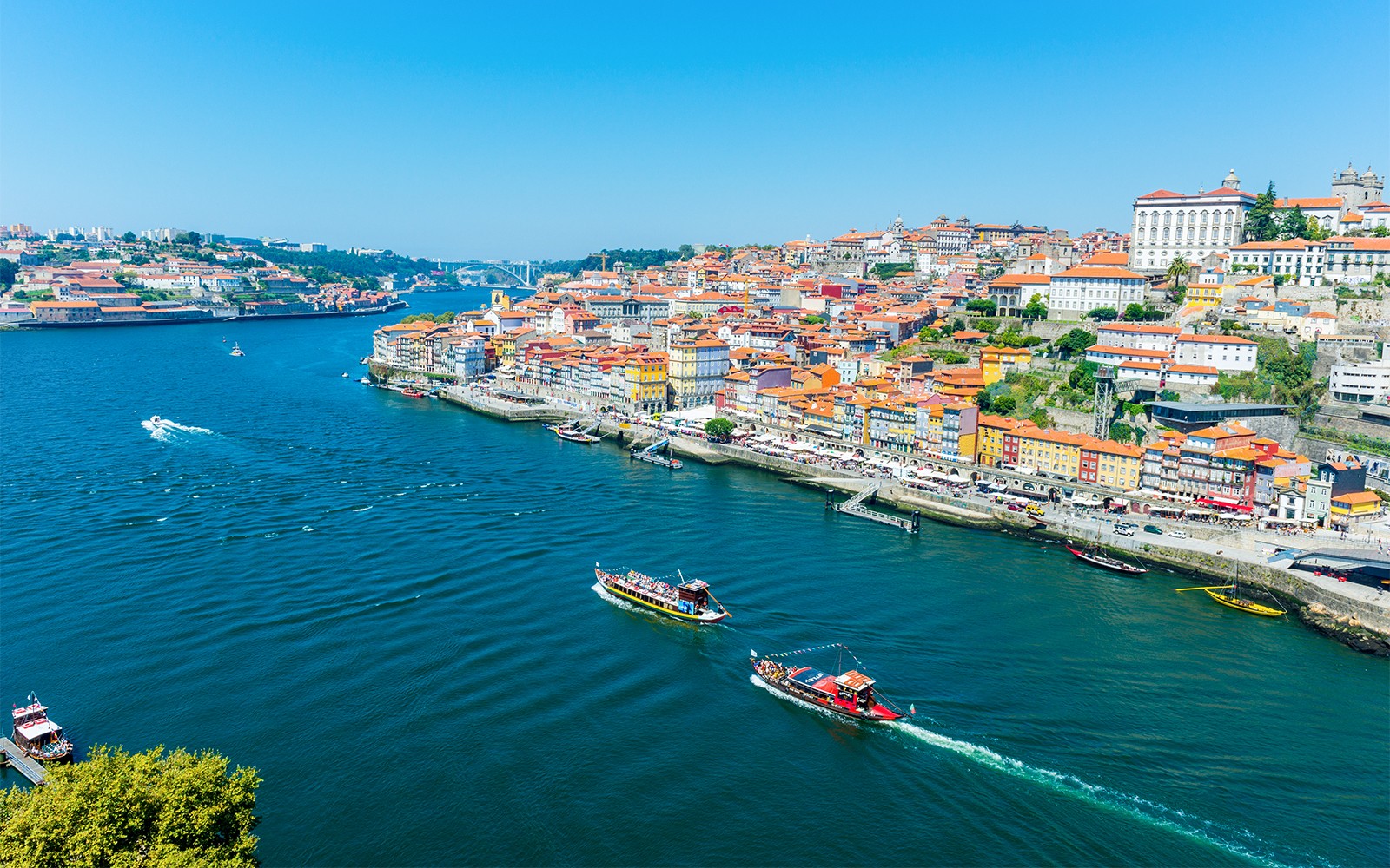 Classic Douro Valley Guided Tour with 1-Hour Pinhão Cruise, Traditional Lunch & Wine Tastings
