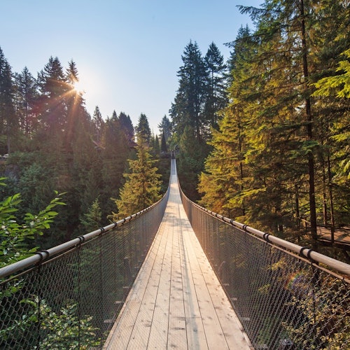 Vancouver: City Highlights Tour + Vancouver Lookout & Capilano Suspension Bridge — gallery 3