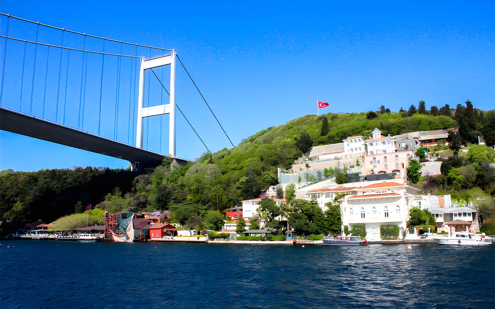 Combo: Istanbul Bosphorus Cruise + Topkapi Palace Tickets/Hagia Sophia Tour