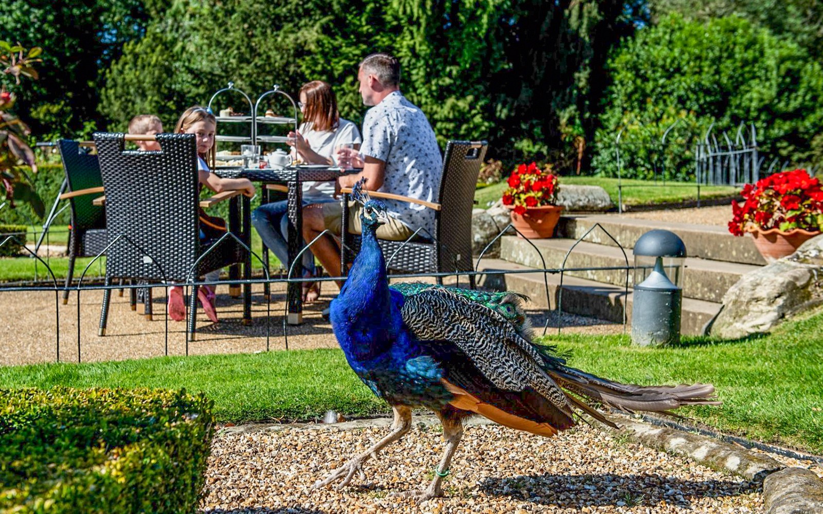 Warwick Castle Entry Tickets