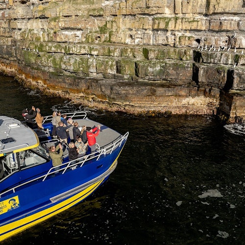 Cape Raoul: Guided Tour from Hobart + Port Arthur Historic Site Entry + Cruise — gallery 4