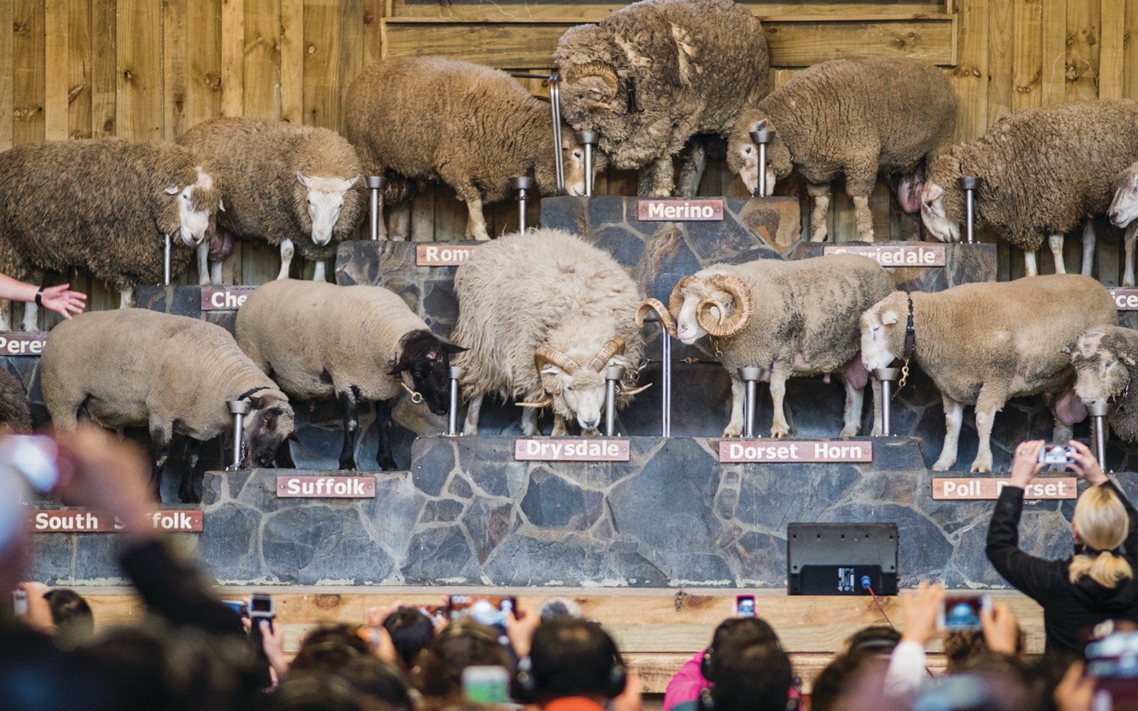 Agrodome Authentic Farm Experience Tickets