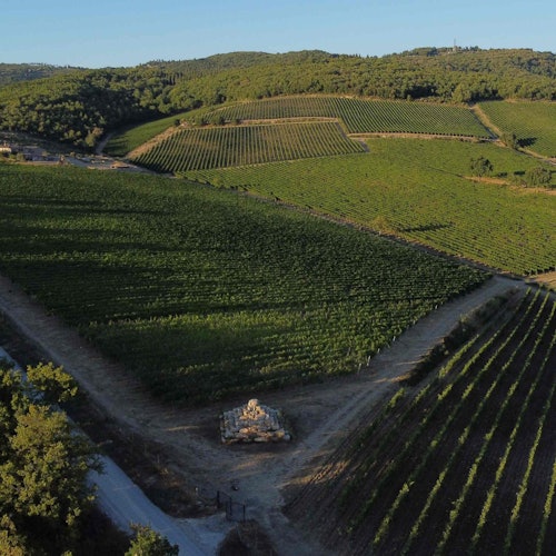 Siena: VIP Wine, Oil and Food Tasting at Tuscany Vineyard — gallery 2