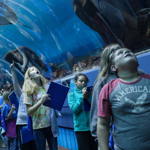 Georgia Aquarium: Fast Track Ticket — gallery 4