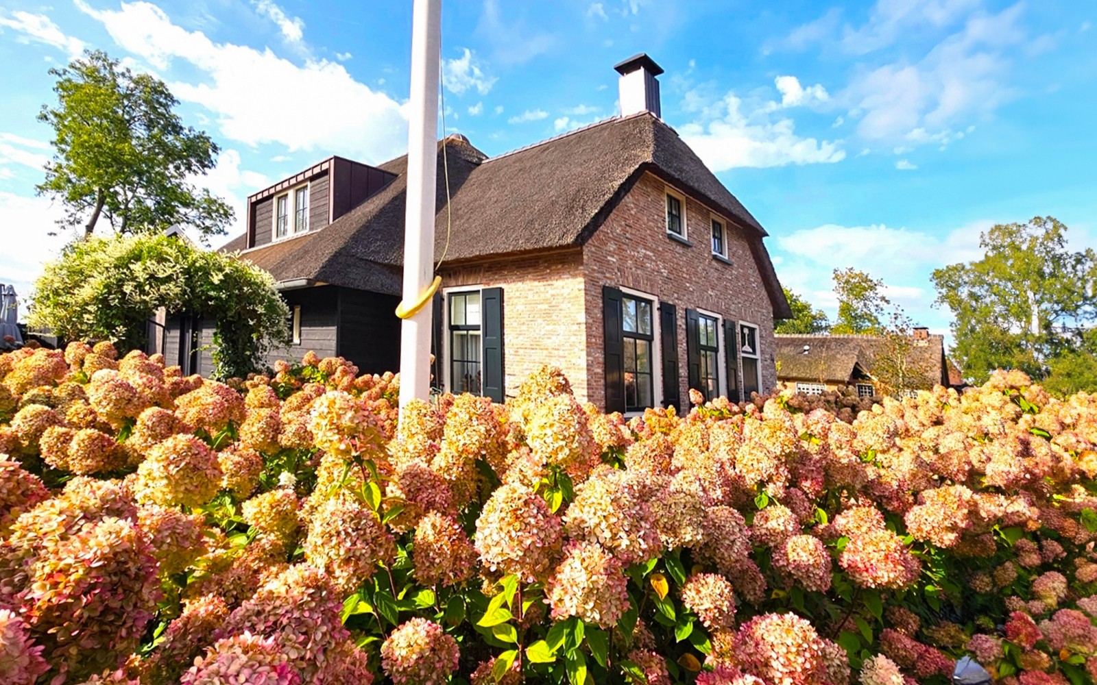 From Amsterdam: Giethoorn Day Trip with Boat Ride & Walking Tour — gallery 5