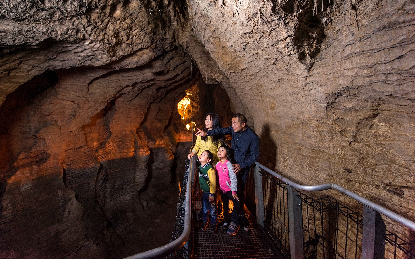 Aranui Cave Guided Tour