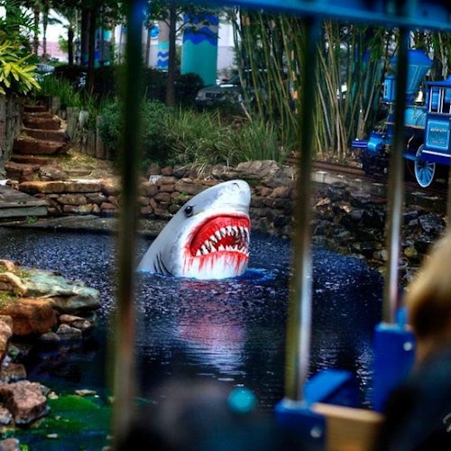Houston: City Bus Tour + Downtown Aquarium Entry Ticket — gallery 2