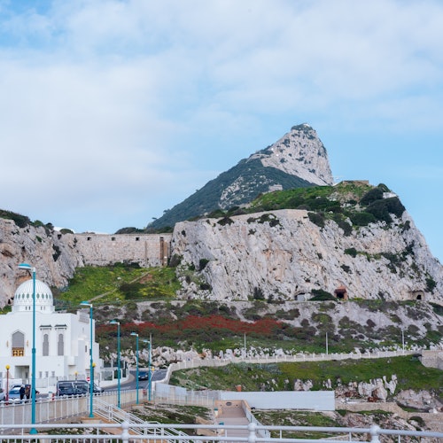 From Málaga: Day Trip to Gibraltar — gallery 3