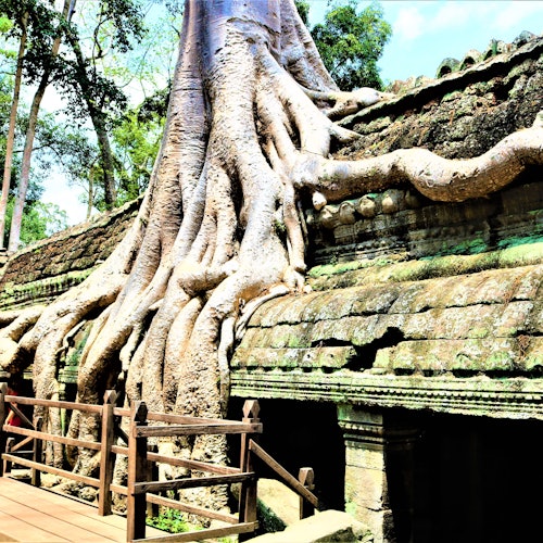 Angkor Wat: Full Day Guided Tour