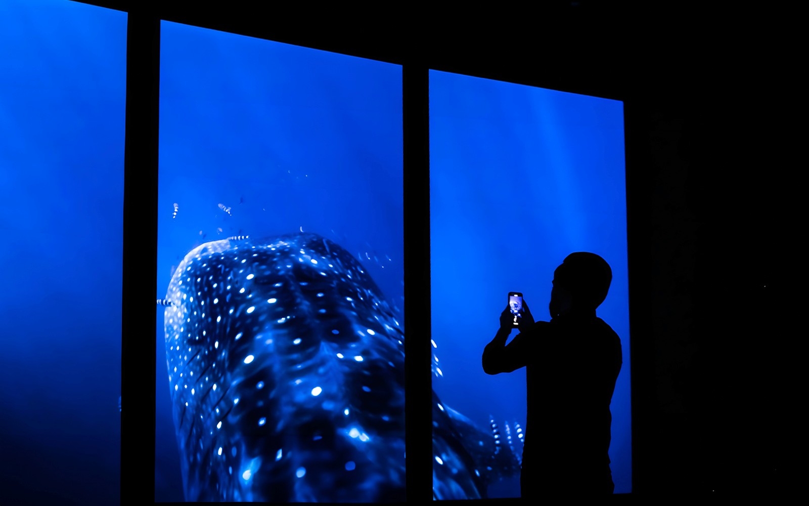 Oceanário de Lisboa Tickets