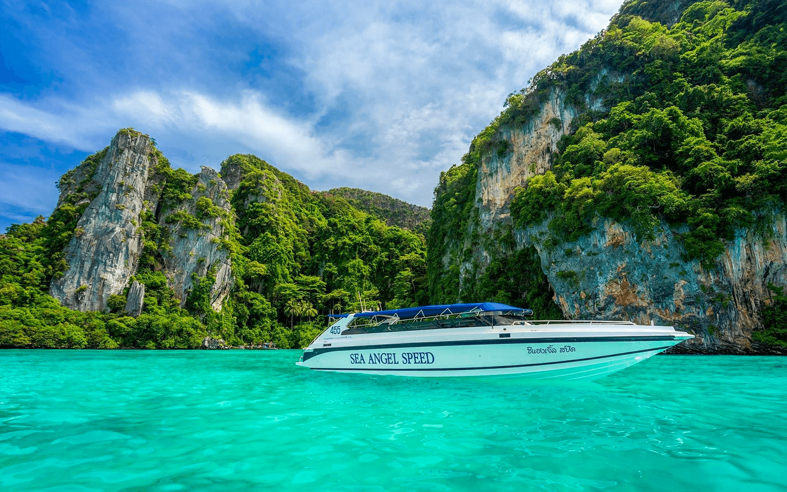 From Phuket: Phi Phi Island, Maya Bay & Bamboo Island Tour by Premium Speedboat with Lunch & Hotel Transfers — gallery 5