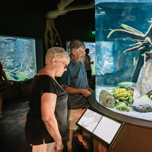 Cairns Aquarium & Tomb of the Pharaohs: Entry Ticket — gallery 2