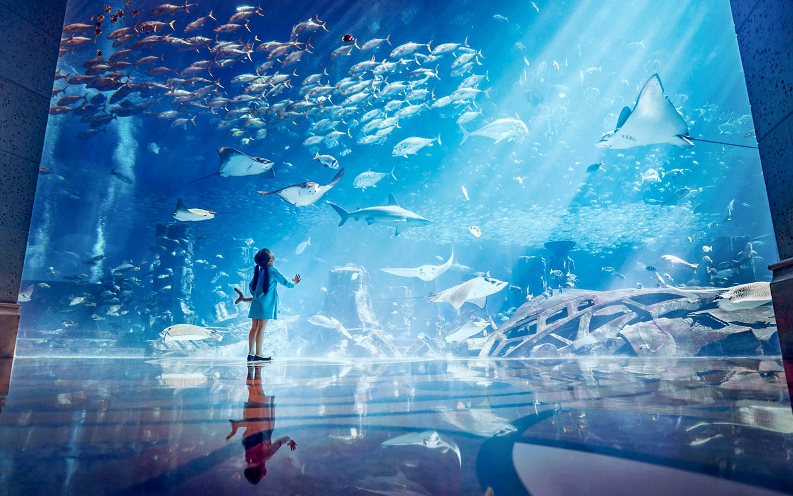 Atlantis Snorkeling & Scuba Diving — gallery 1