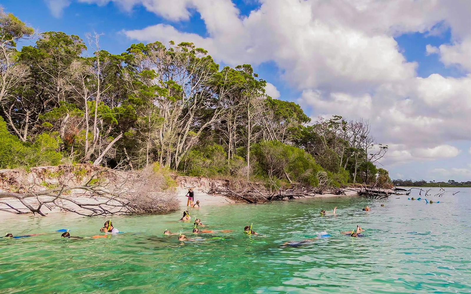 From Hervey Bay: Remote K'Gari (Fraser Island) Boat Tour with Lunch — gallery 3