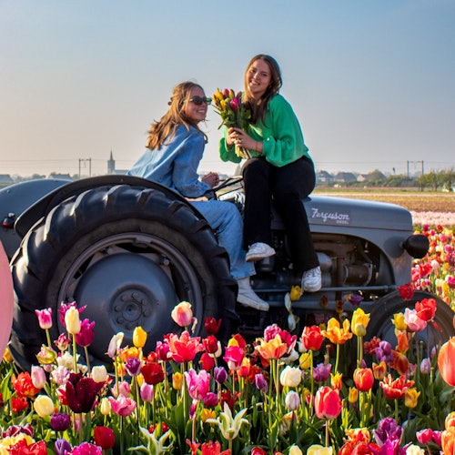 The Tulip Barn: Entry Ticket