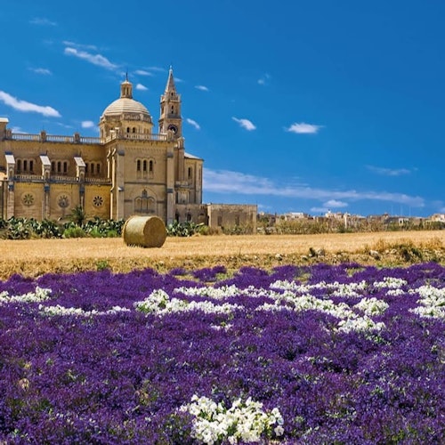 Gozo Jeep Safari — gallery 4