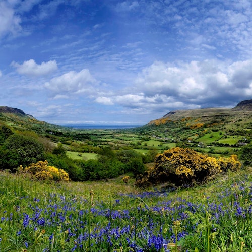 Giant's Causeway & Belfast City: Day Trip from Dublin