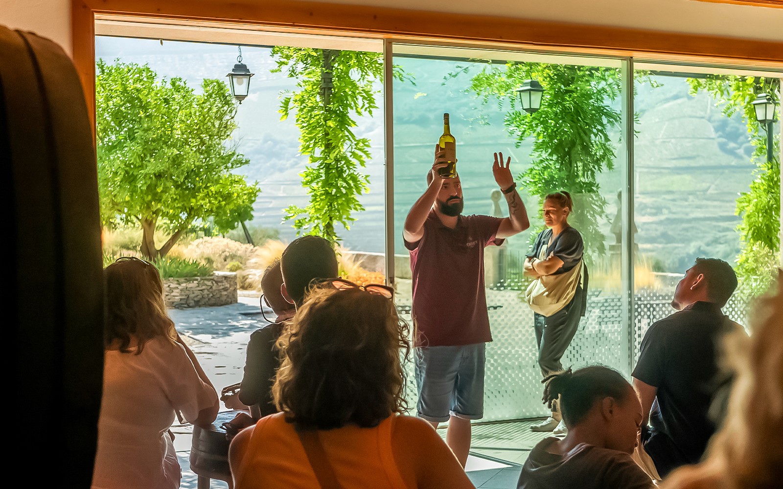Classic Douro Valley Guided Tour with 1-Hour Pinhão Cruise, Traditional Lunch & Wine Tastings
