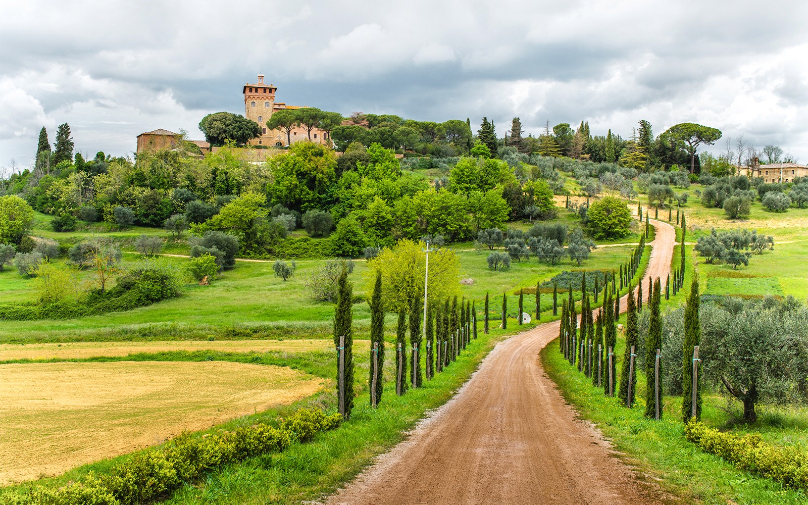 From Florence: Chianti Wine Tasting Tour — gallery 1
