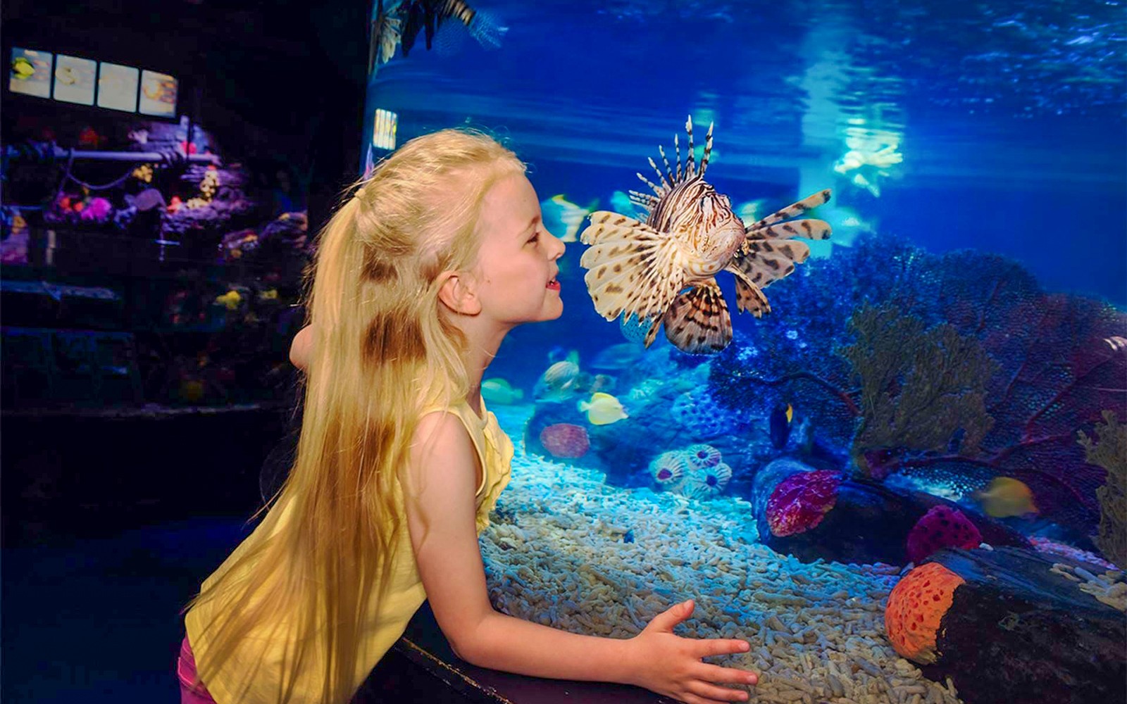 SEA LIFE London Aquarium: Deluxe Package — gallery 4