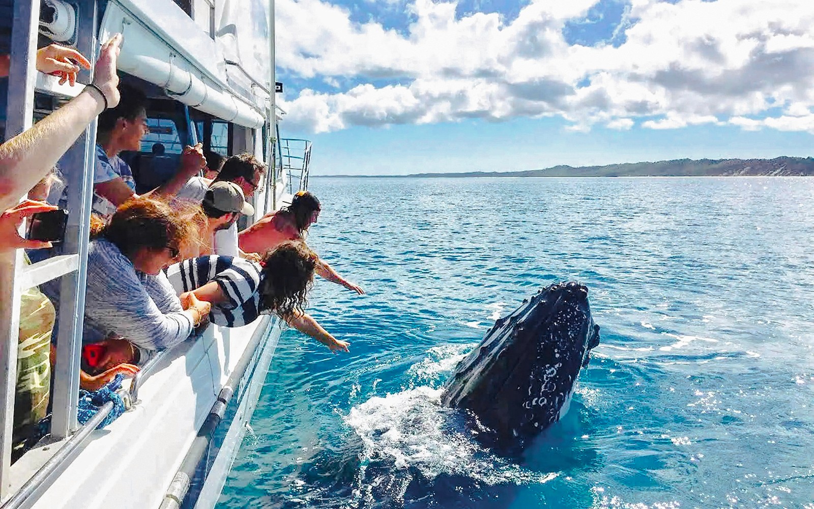From Hervey Bay: Remote K'Gari (Fraser Island) Boat Tour with Lunch — gallery 4