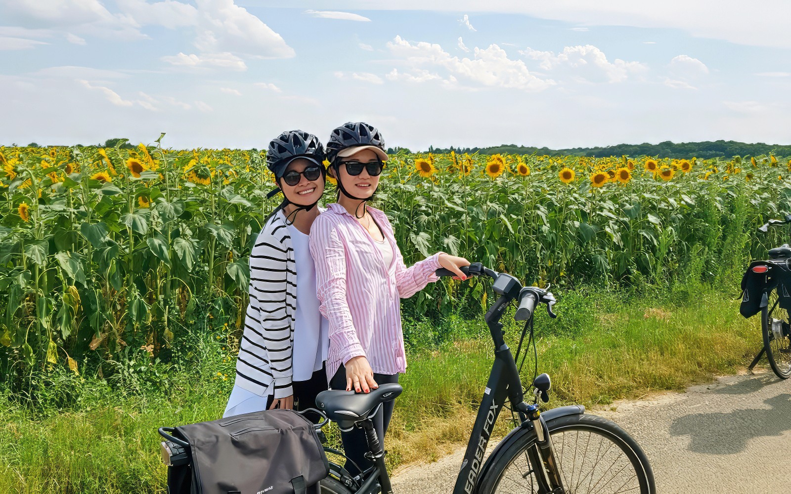 From Tours or Amboise: Chambord E-bike Guided Tour — gallery 1