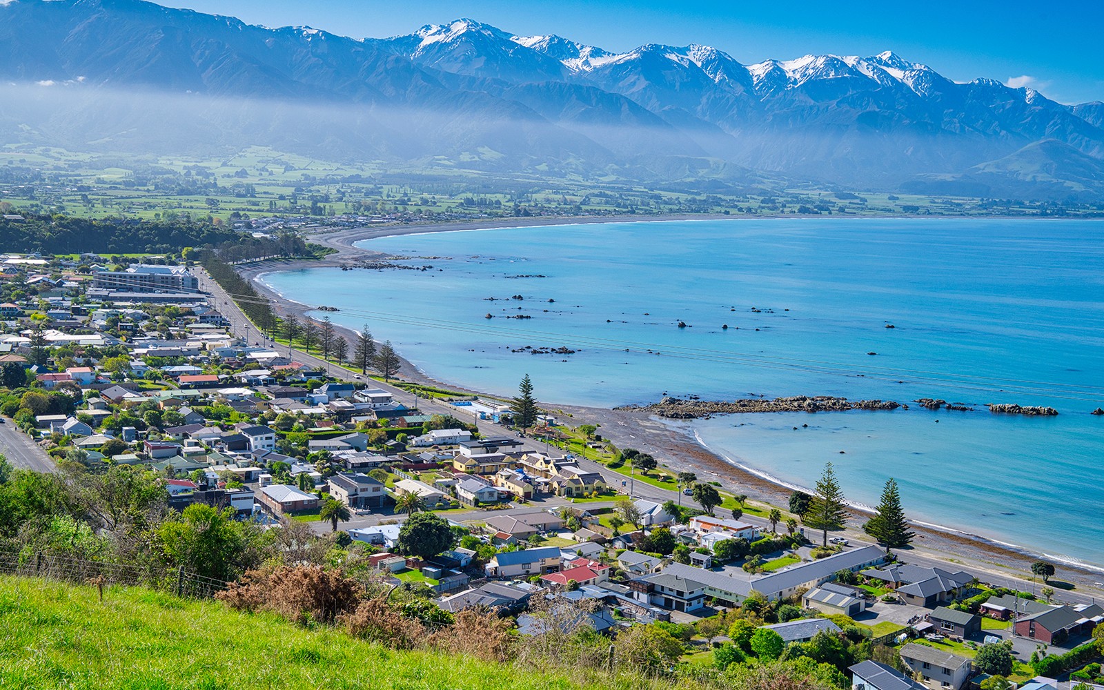 From Christchurch: Kaikoura Whale Watch Day Trip with Round-Trip Transfers