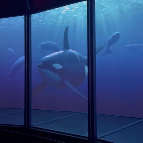 XPERIA - Ocean Journey: Entry Ticket — gallery 2