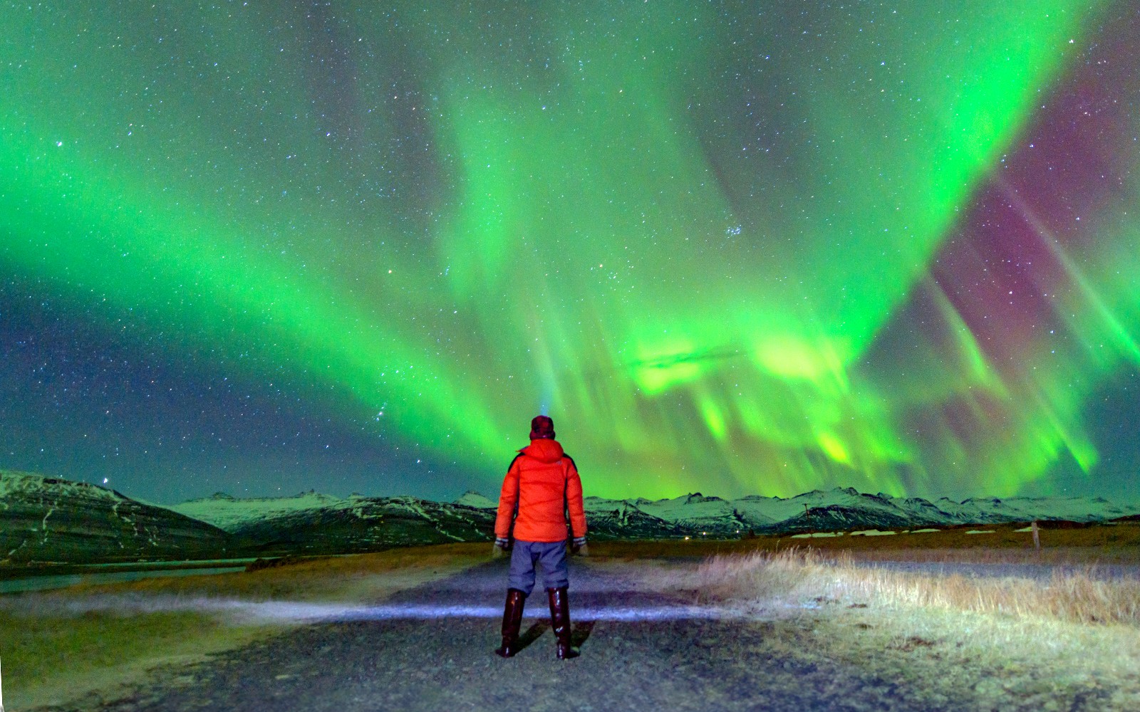 Reykjavik: Northern Lights Small Group Chase Tours