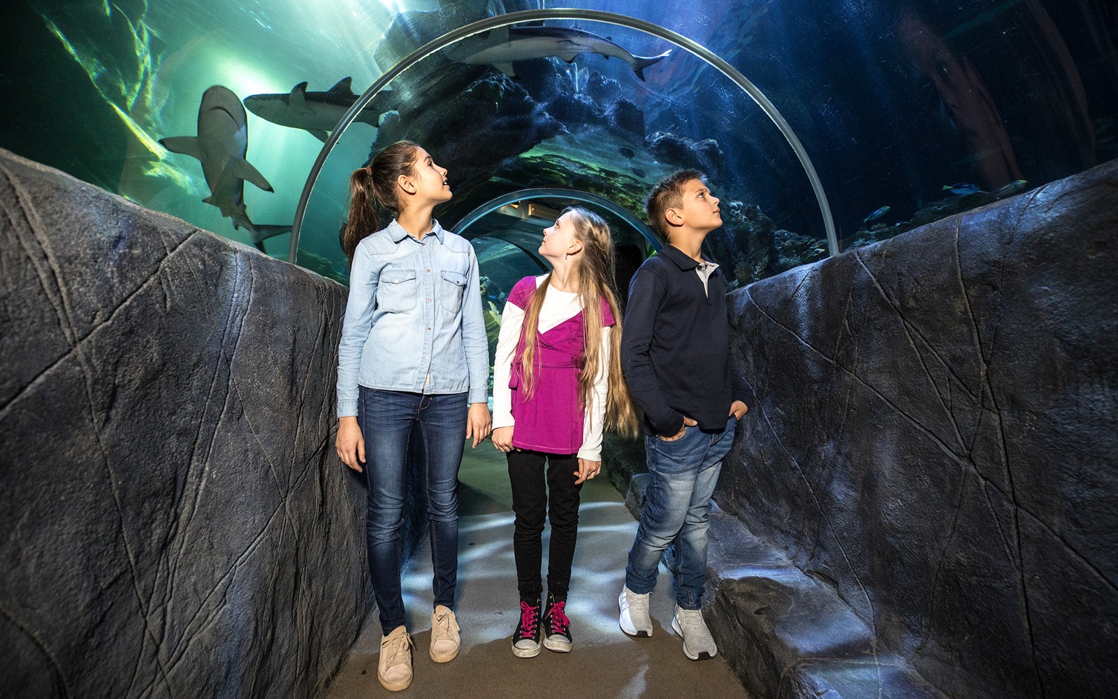 SEA LIFE Munich Ticket — gallery 1