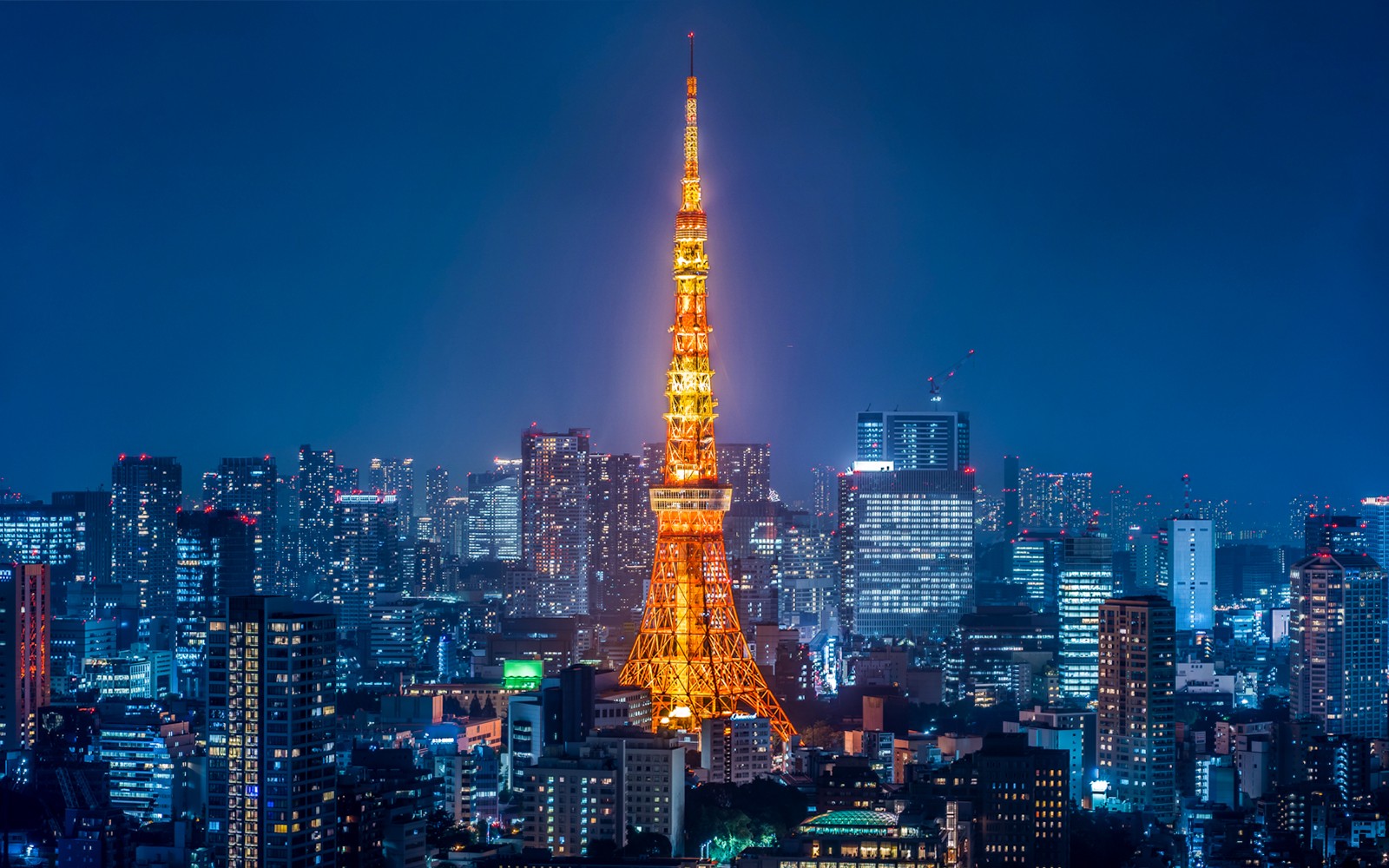Tokyo Tower Tickets