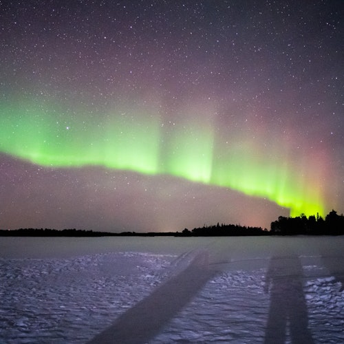 Special Aurora Borealis Hunt — gallery 4