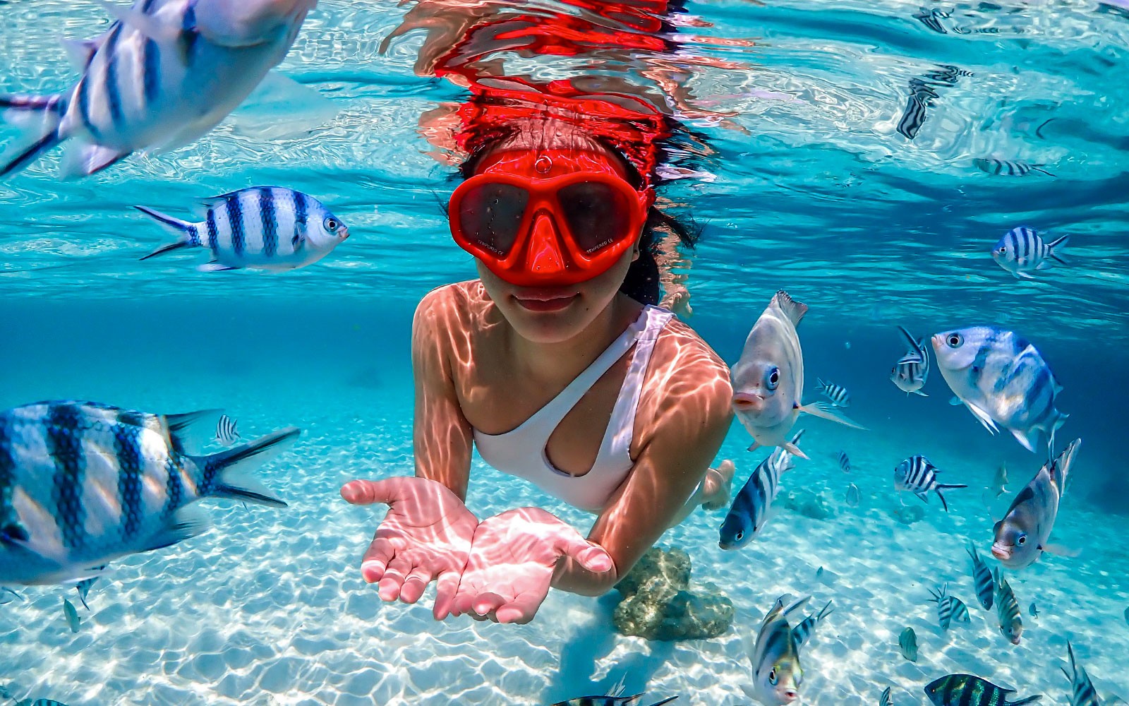 From Bangkok: Nemo Island Guided Tour with Lunch