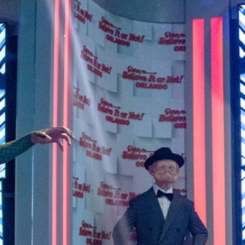 Ripley's Believe It or Not! Orlando: Entry Ticket — gallery 2