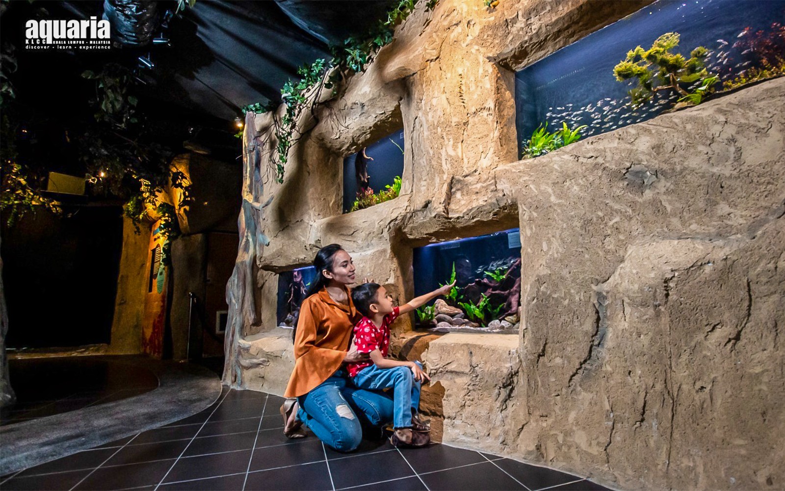 Combo: Aquaria KLCC Tickets + Kuala Lumpur Hop-On Hop-Off Bus Tour — gallery 3
