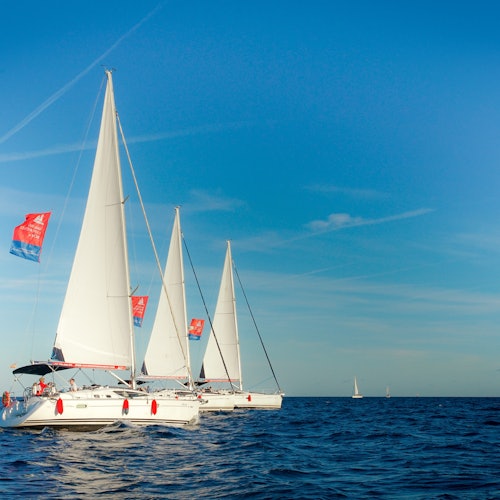 Barcelona: Sailing Experience with Vermouth — gallery 4