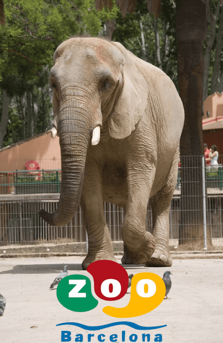 Barcelona Zoo — gallery 1