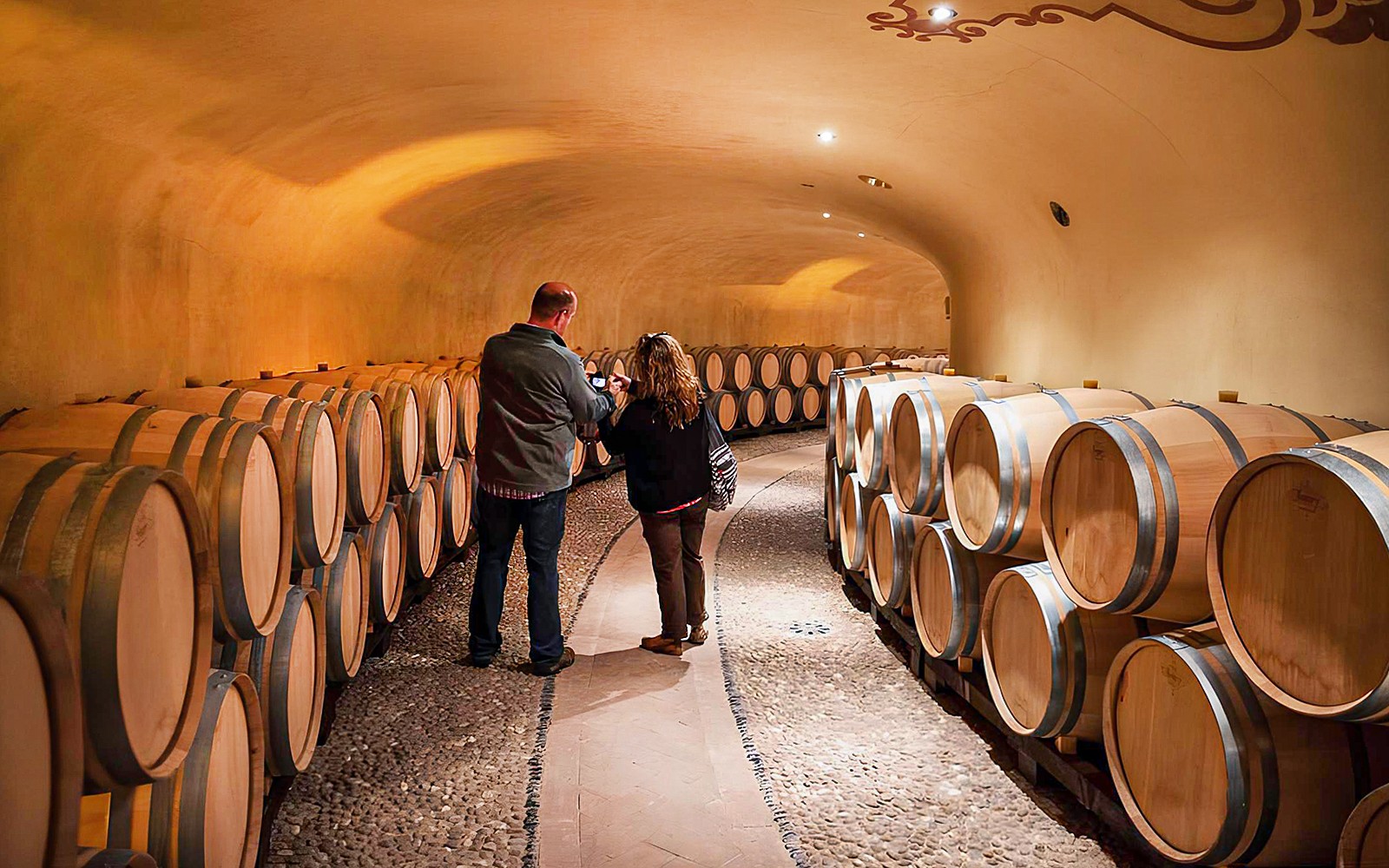 From Florence: Chianti Countryside & Olive Grove Semi-Private Tour with Lunch & Gourmet Pairings — gallery 1