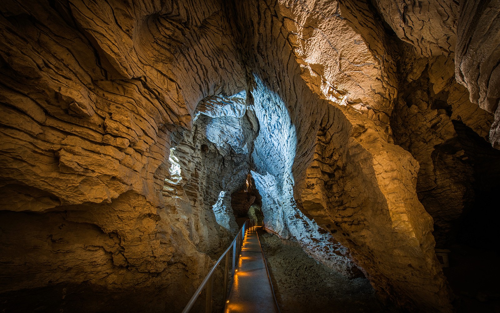 Ruakuri Cave Guided Tour