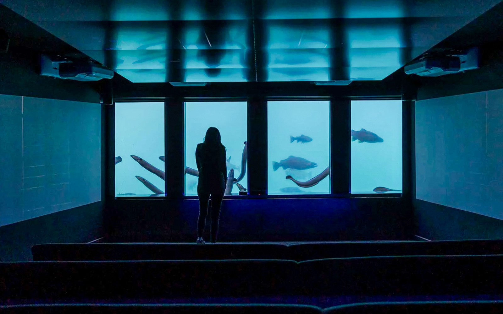 Time Tripper: Hidden Underwater Theatre Experience Tickets