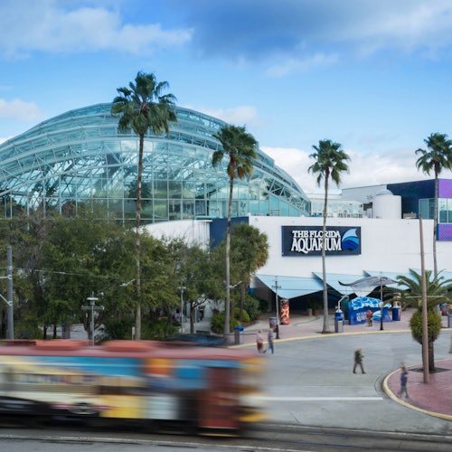 Tampa ZooQuarium: ZooTampa & The Florida Aquarium Combo Ticket — gallery 3