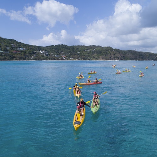 Kayak with the Dolphins: Half-Day Guided Tour
