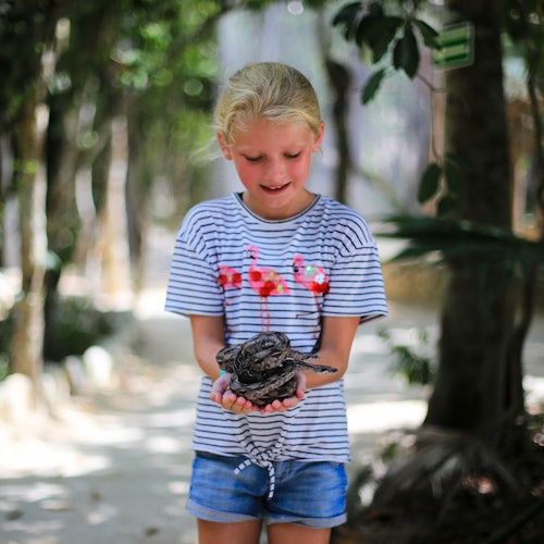 Akumal Monkey Sanctuary & Rescued Animals: Guided Tour — gallery 4