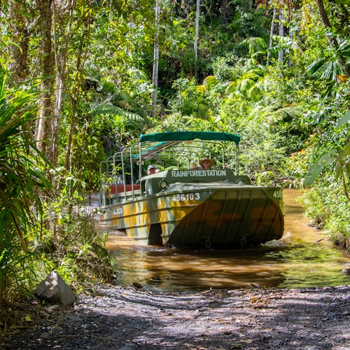 Rainforestation Nature Park — gallery 3