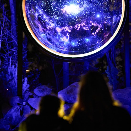 Astra Lumina: Currumbin Wildlife Sanctuary — gallery 2
