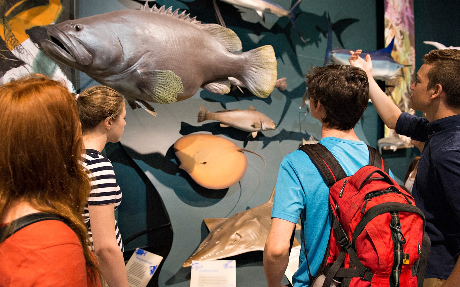 Guided Half-Day City Tour of Darwin — gallery 1