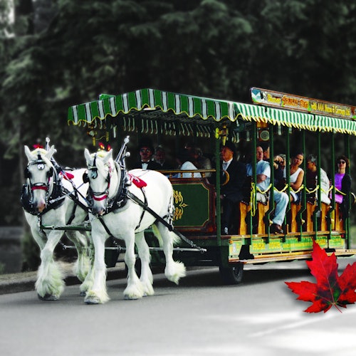 Vancouver: Stanley Park Horse-Drawn Guided Tour — gallery 1