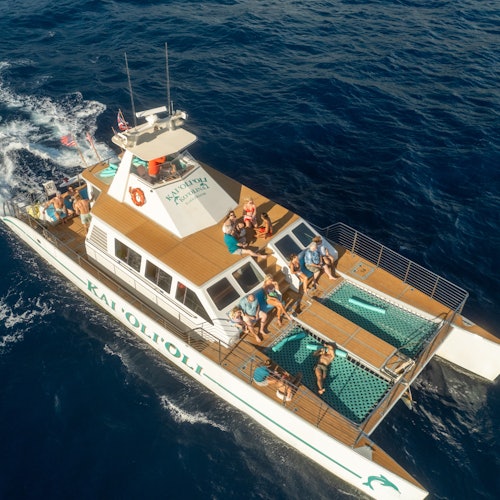 Oahu: Afternoon Dolphin Watching Cruise + Snorkeling — gallery 2