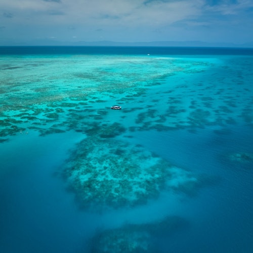 Nocturnal Rainforest & Wildlife Tour from Cairns — gallery 2